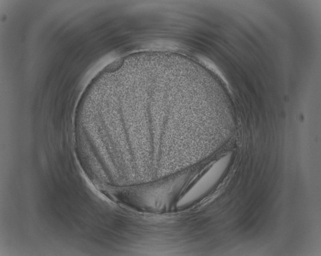 X0000081421087200702092128