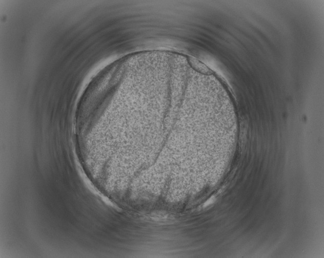 X0000081421088200702092128