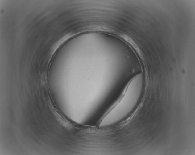 X0000081421089200702092128