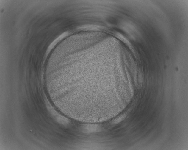 X0000081421090200702092128