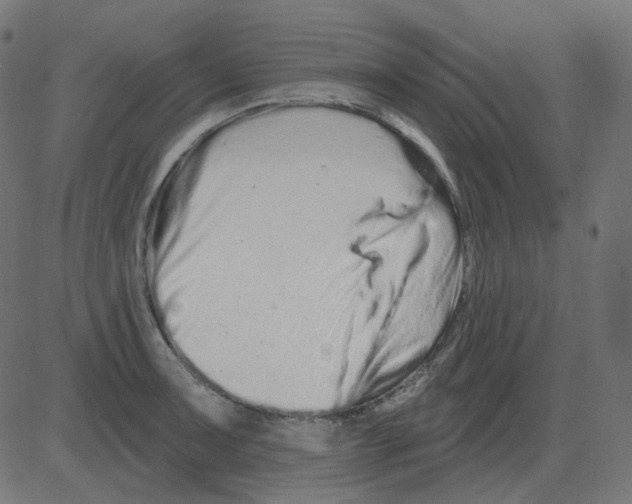 X0000081421091200702092128