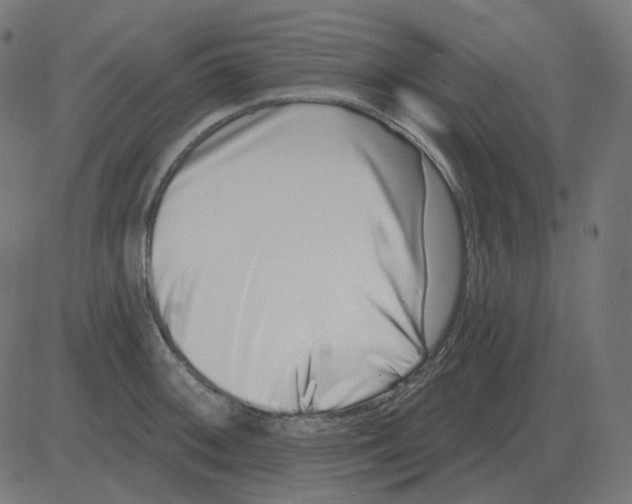 X0000081421092200702092128