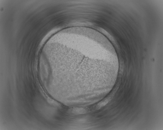 X0000081421094200702092127