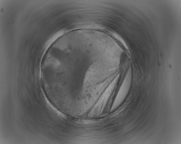 X0000081421095200702092127