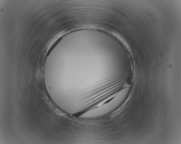 X0000081421097200702092127