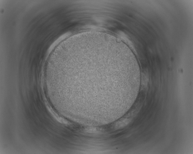 X0000081421098200702092127