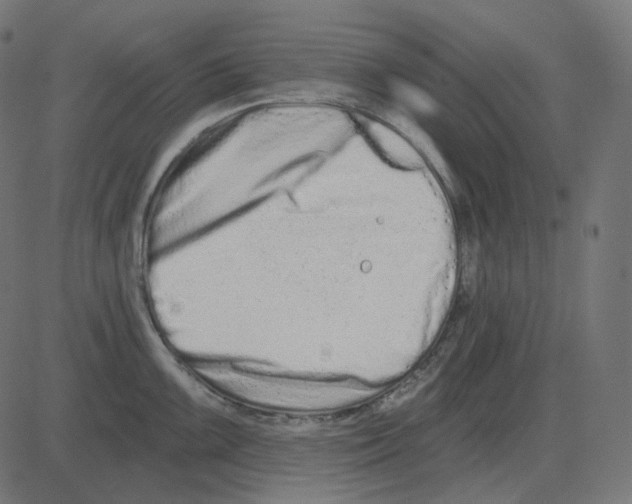 X0000081421099200702092127