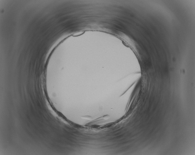 X0000081421100200702092127