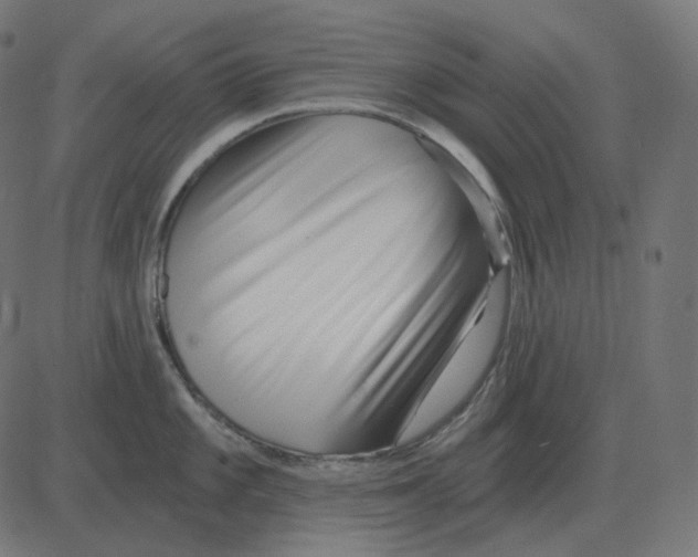 X0000081421101200702092127