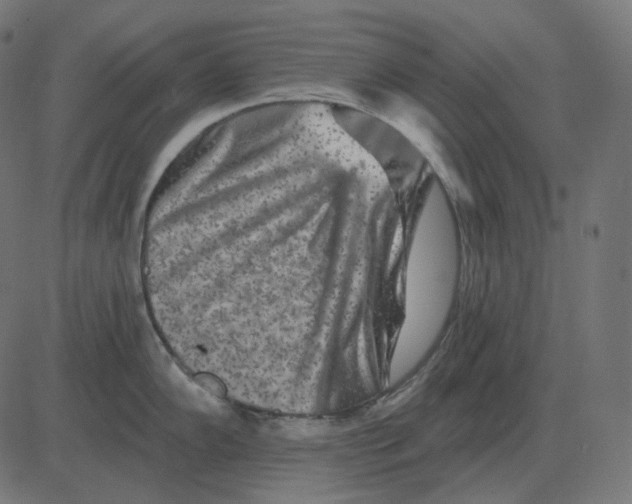 X0000081421102200702092127