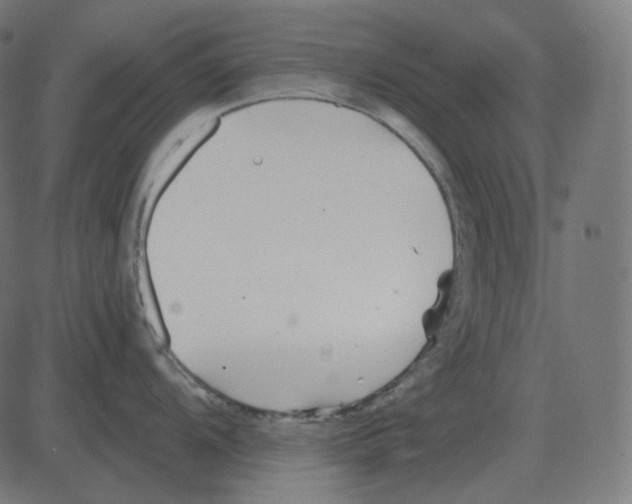 X0000081421104200702092127