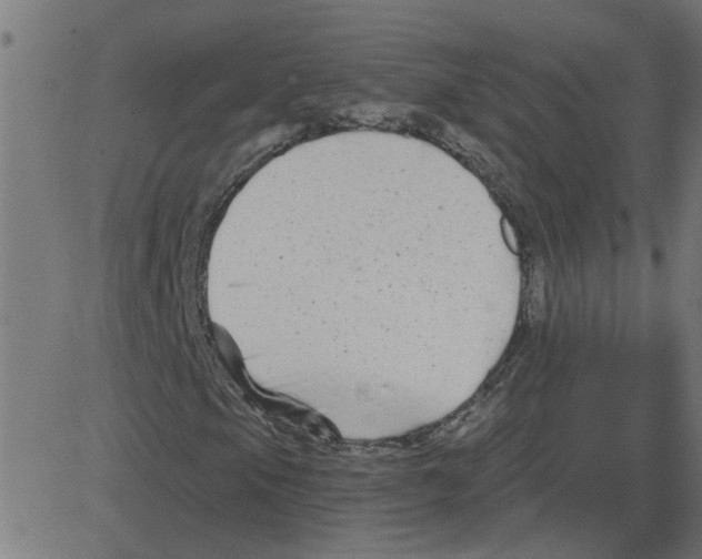 X0000081421105200702092127