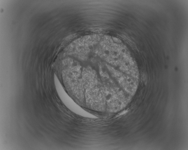 X0000081421106200702092127