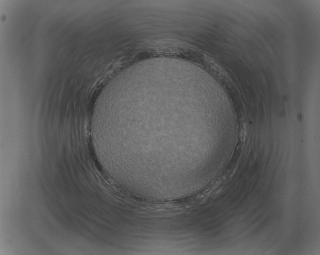 X0000081421108200702092127