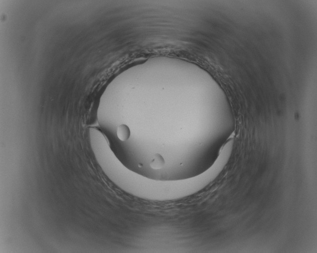 X0000081421109200702092127