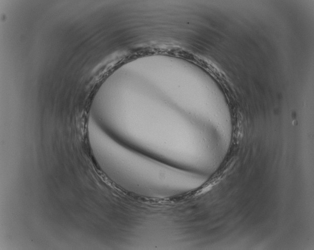 X0000081421110200702092127