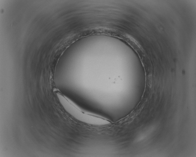 X0000081421111200702092127