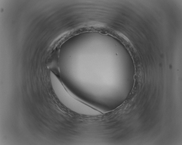 X0000081421112200702092127