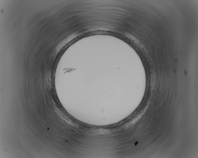 X0000081421113200702092127