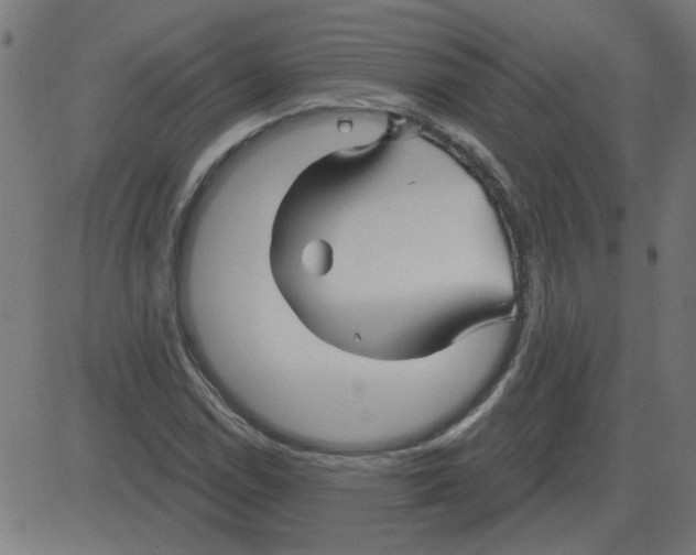 X0000081421114200702092127