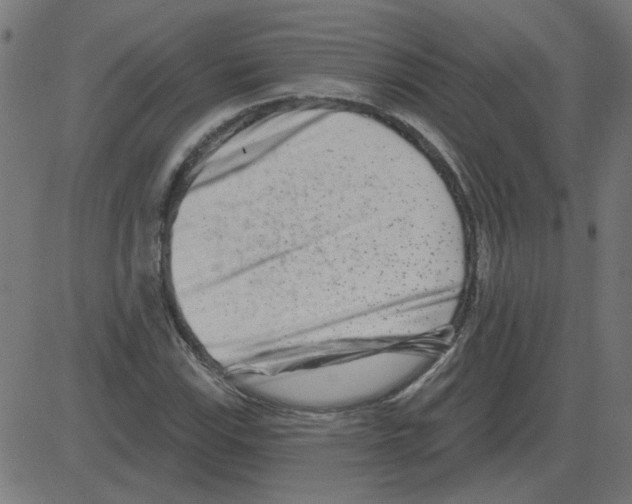 X0000081421115200702092127