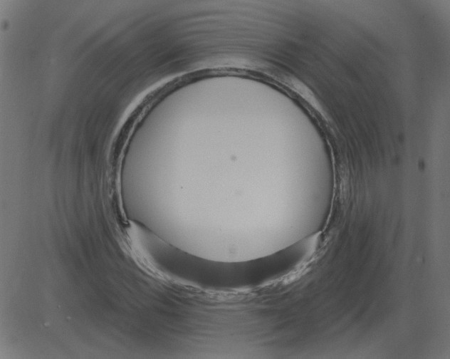 X0000081421116200702092127