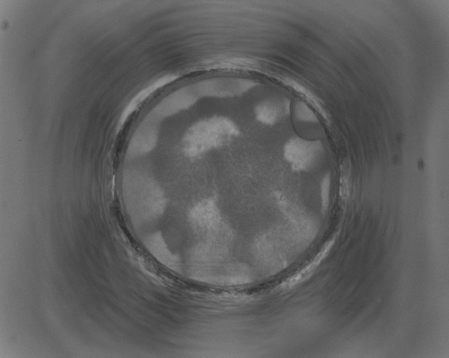 X0000081421117200702092127