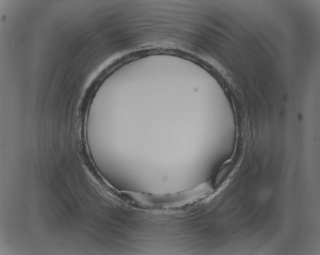 X0000081421118200702092127