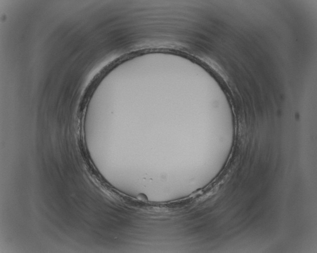 X0000081421119200702092127