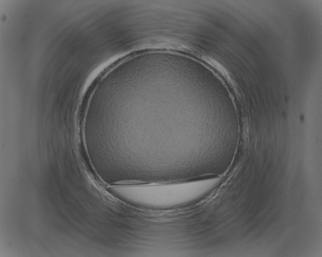 X0000081421120200702092127