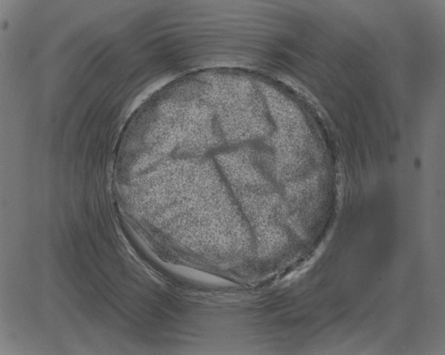 X0000081421121200702092127