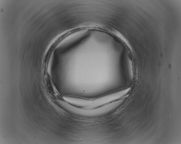 X0000081421124200702092127