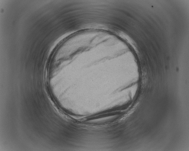 X0000081421125200702092127