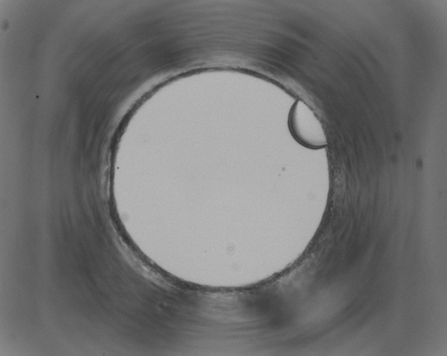 X0000081421126200702092127