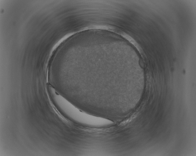 X0000081421127200702092127