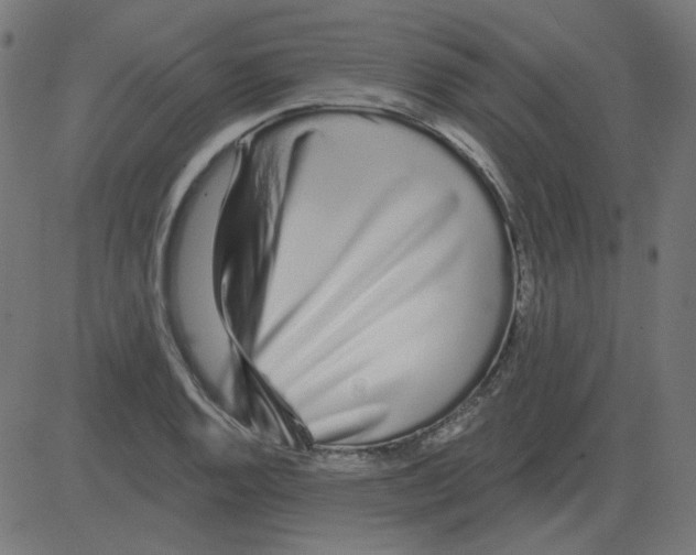 X0000081421128200702092127