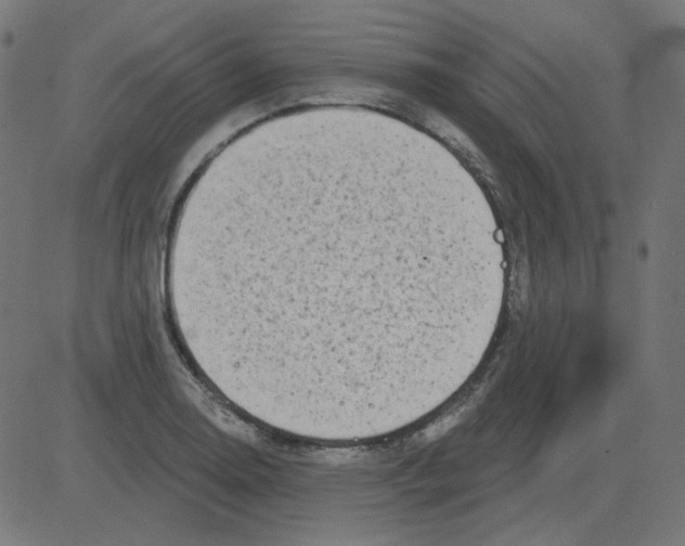 X0000081421130200702092127