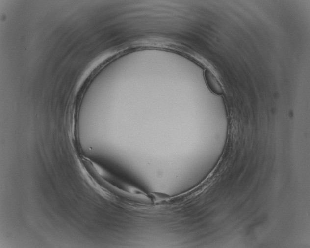 X0000081421131200702092127