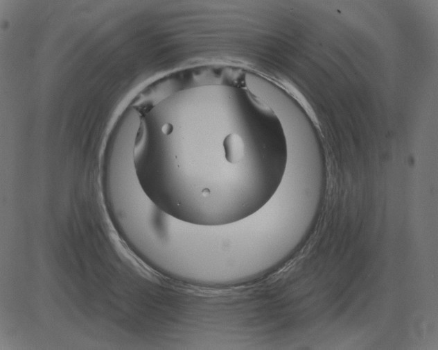 X0000081421132200702092127