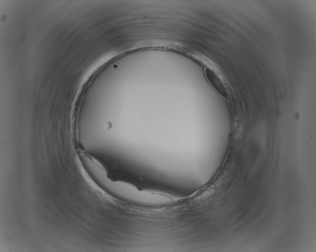 X0000081421135200702092127