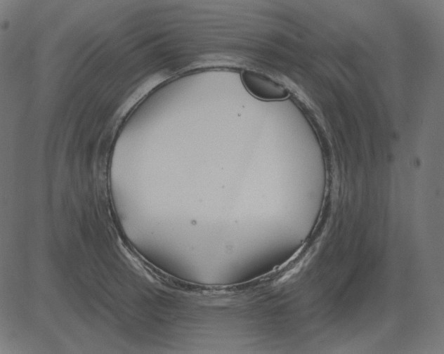 X0000081421137200702092127