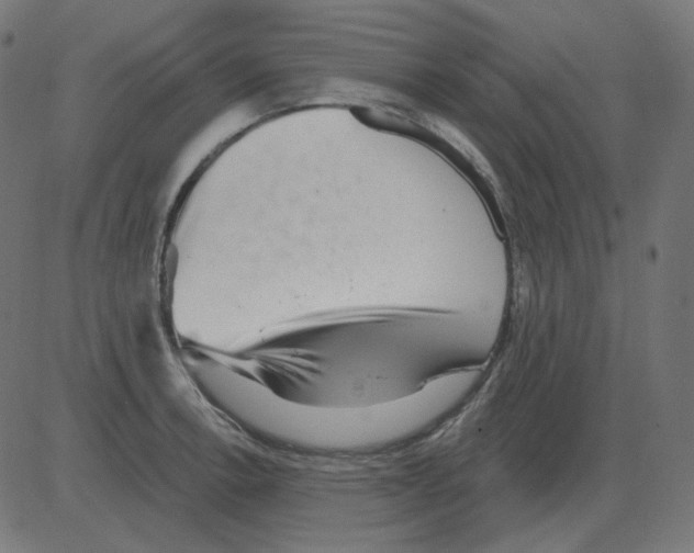 X0000081421138200702092127