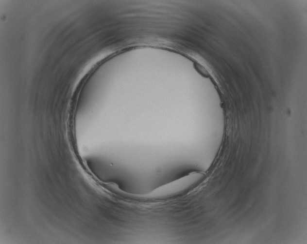 X0000081421139200702092127