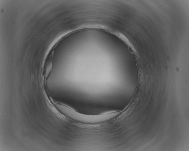 X0000081421140200702092127