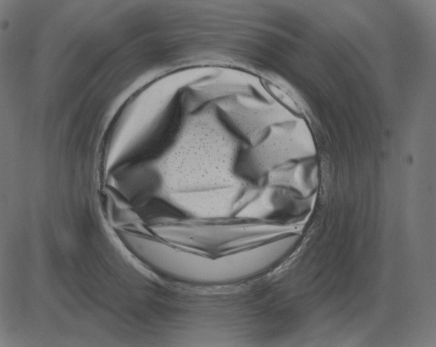 X0000081421142200702092127