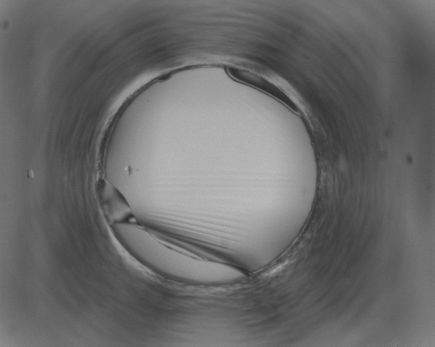 X0000081421143200702092127