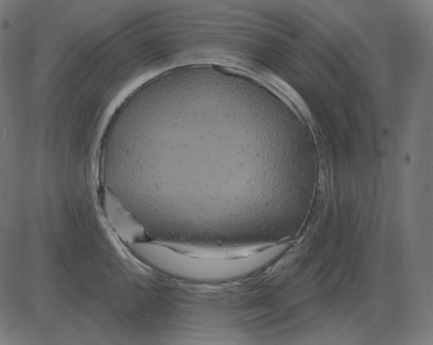 X0000081421144200702092127