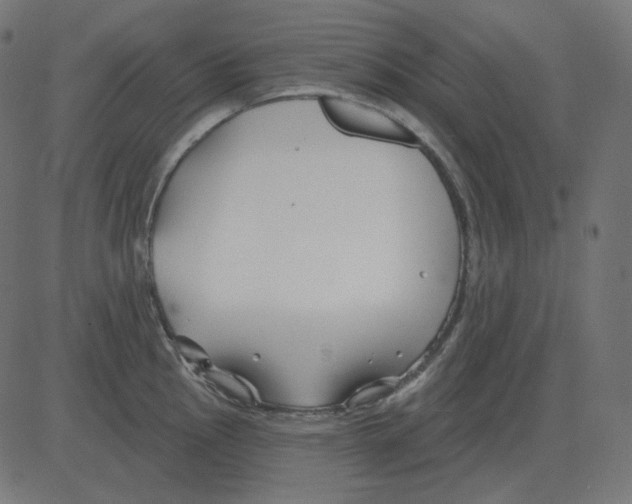 X0000081421145200702092127