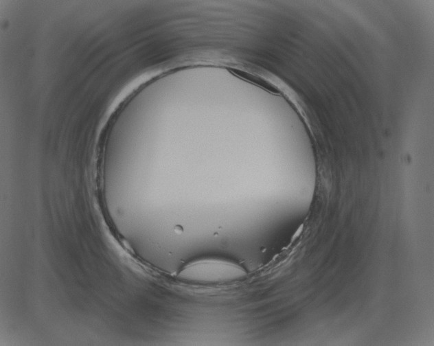 X0000081421147200702092127