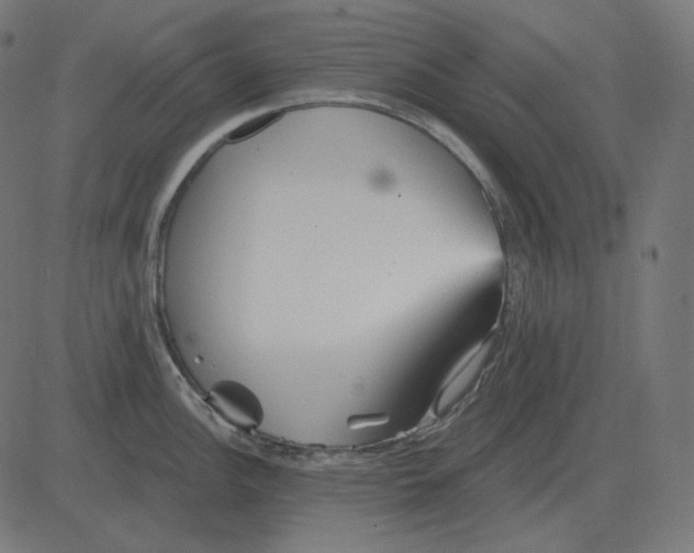 X0000081421148200702092127